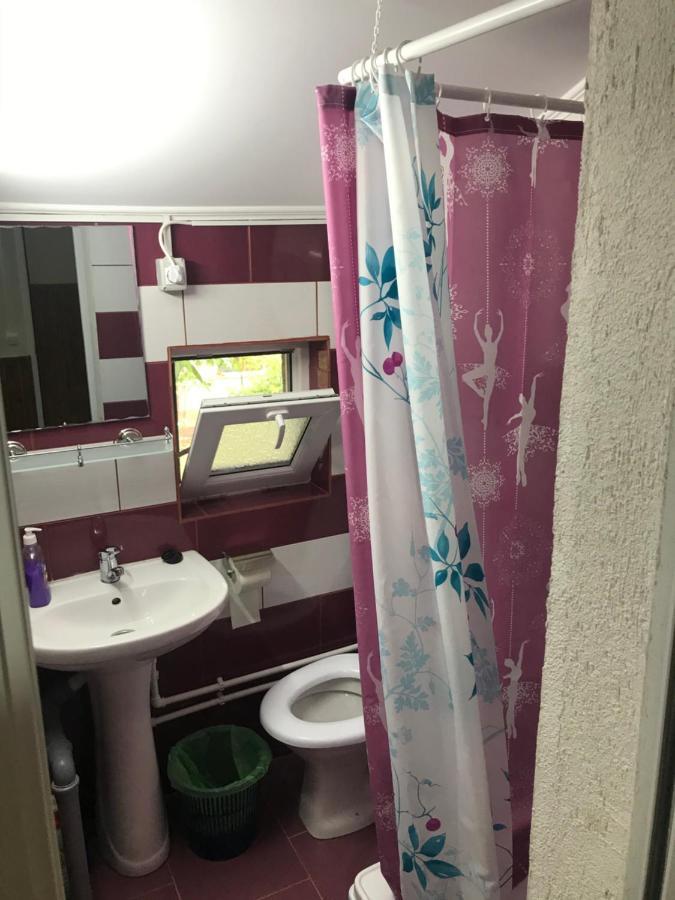Отель Casa Radu Тулча Экстерьер фото