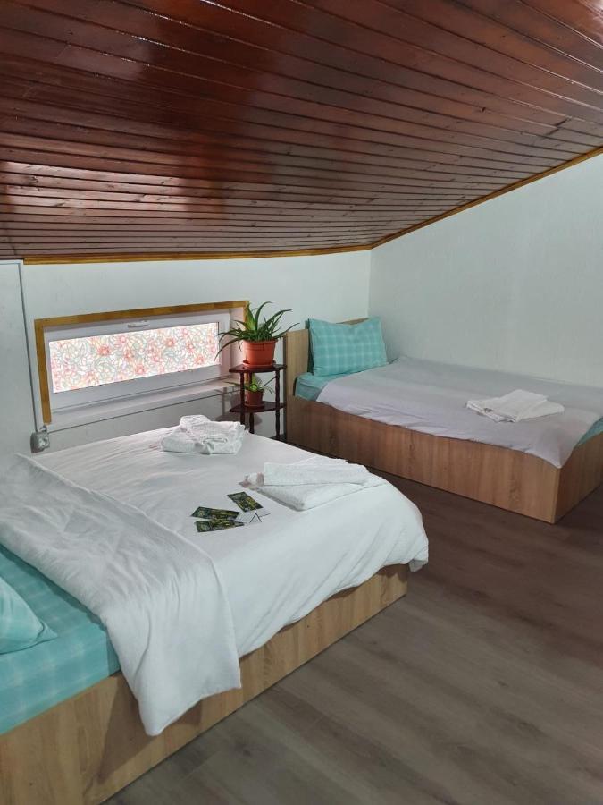 Отель Casa Radu Тулча Экстерьер фото